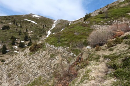 Sur le sentier discret à flanc de montagne.