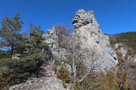 Exploration du Rocher de Guimpe. La petite arche se cache derrière l’arbre.