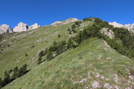 Montée par l’arête nord-est.