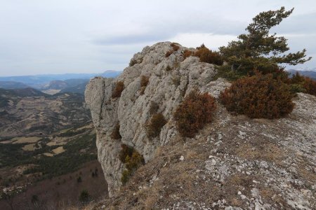 Sur les crêtes.