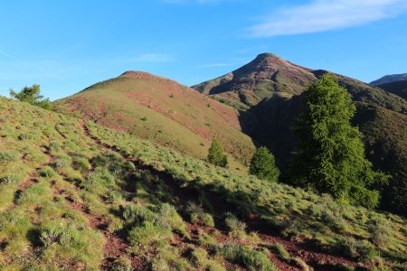 La Madeleine et la Tête de Rigaud avec les belles couleurs matinales.