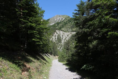 Le Chapeau de l’Évêque à la descente.