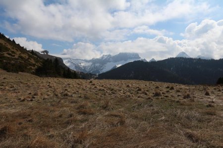 Au col de Chausseyras, le cirque de la Jarjatte.