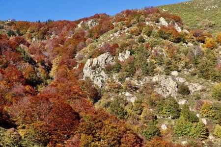 Couleurs d’automne