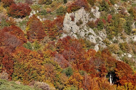 Couleurs d’automne