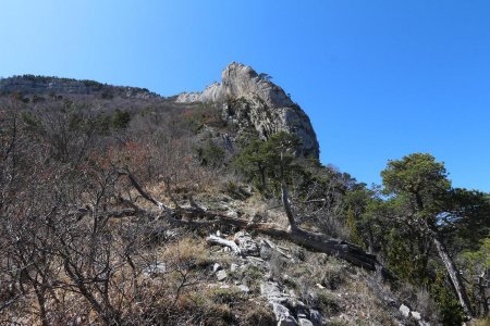 Une fois la crête rejointe, il faut y monter quelques mètres pour trouver le sentier partant sur la droite dans le versant nord.