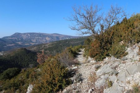 Le sentier Émile avec la Montagne du Poët.