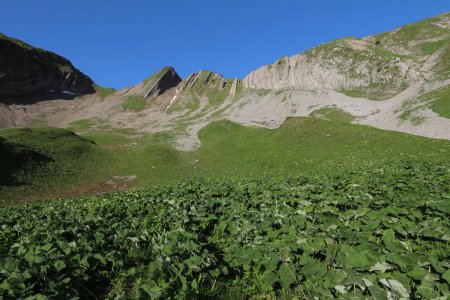 Le haut vallon de la Lanche et ses arêtes escarpées.