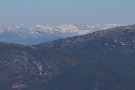 Sud Écrins avec les Pointes de Rougnoux, Roc Diolon, Grand Pinier, Entre Piniers, Petit Pinier, Tuba, ...