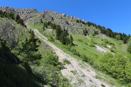 Le court pierrier avant la montée le long de la ligne de sapins.