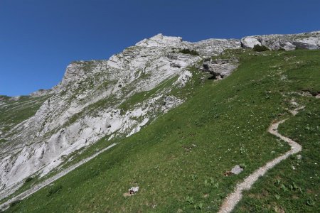 Au pied de la voie normale de l’Arcalod.