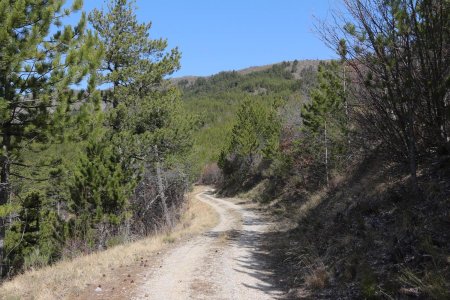 Puis la piste vers le col du Colombier.