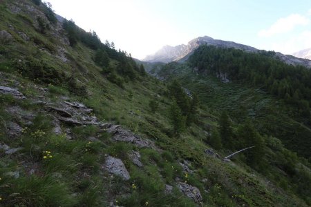 Dans la traversée pour rejoindre le vallon du Pisset.