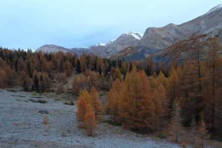 Vue arrière sur la forêt de la Cuite et les crêtes du val d’Allos.