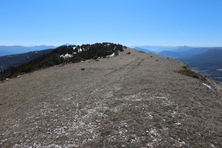 Sur les crêtes de la Longeagne, dans le rétro.