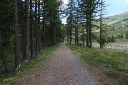 Au retour, entre l’Echalp et la Monta.