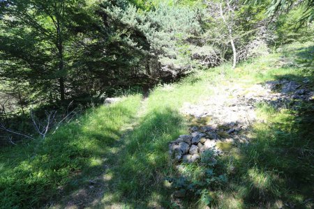 Départ du sentier de la cabane de la Selle.