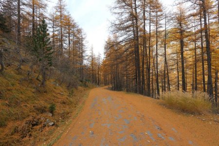 Retour par la section de la route fermée.