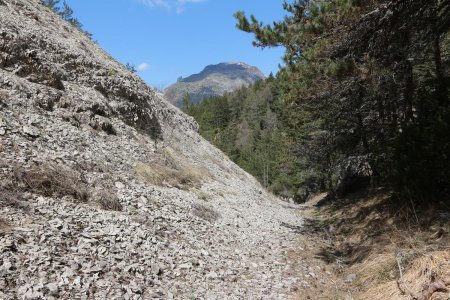 La combe de la Mayt, dans le rétro.