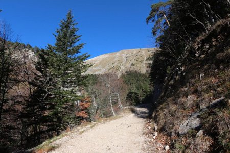 Le versant sud-ouest de Chamousset, vu de la piste provenant des Chabottes.