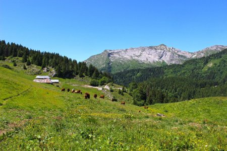 L’alpage du Haut-du-Four