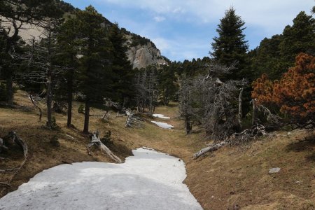 Dans le vallon à la recherche du sentier.