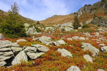 Dans la combe du Vénétier