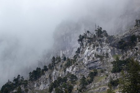 Les nuages se faufilent entre les pins sous la Pointe de Talamarche.