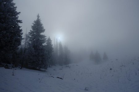 De nouveaux de belles ambiances nordiques entre nuages et épicéas.