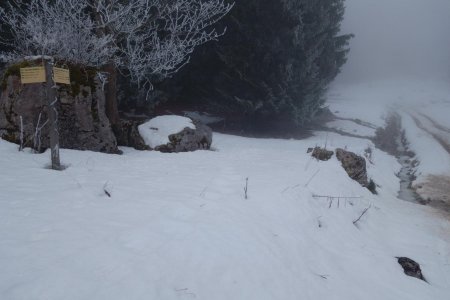 Le croisement vers le Chalet des Barbus (1420 m). La route se poursuit tout droit.