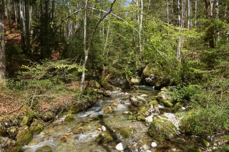 28- Le chemin traverse le Nant de Montmin