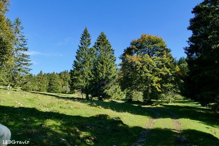 Piste herbeuse en direction de la frontière