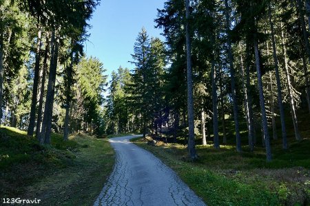 Départ sur la route forestière