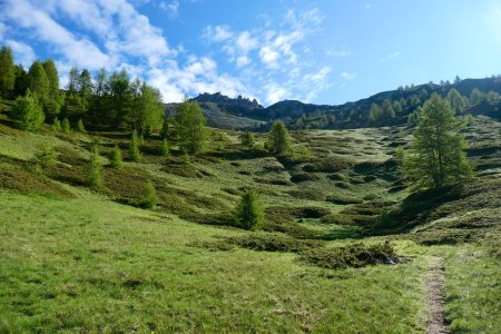 Sur le sentier