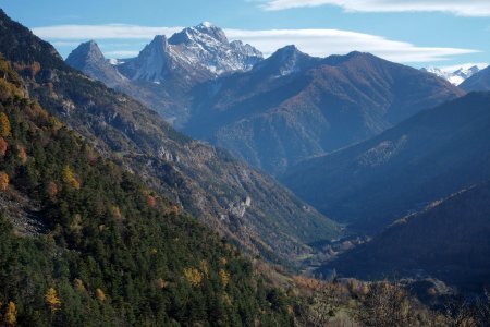 La majestueuse Petite Séolane et sa cour 