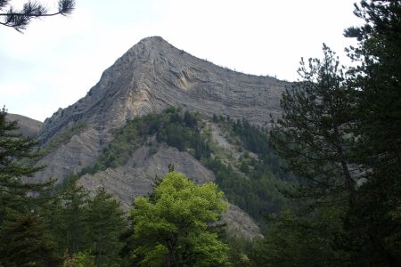 Serre Cocu. A proximité de Combe Chaude. C’est élégant.