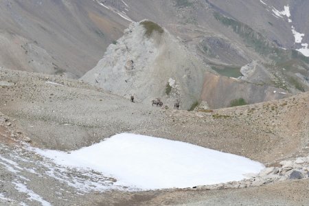 Col Termier et ses habitants