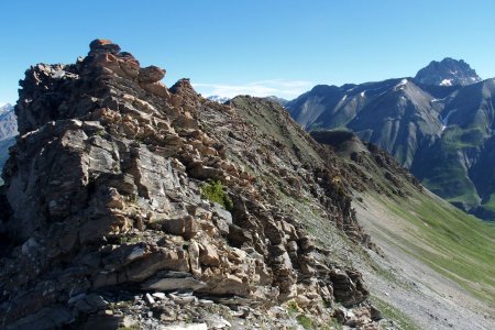 La crête dans le rétro