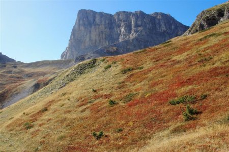 L’automne s’installe aussi dans les alpages