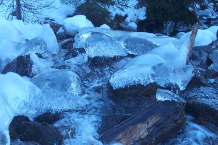 Méduses de glace