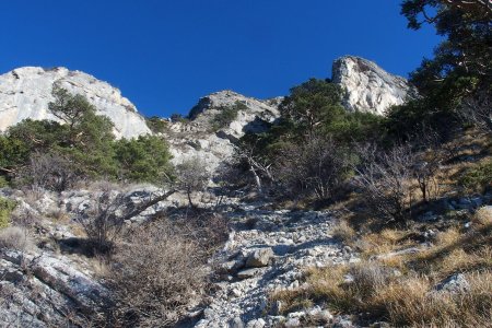 Le bas de la gorge (ici, le pierrier est instable mais en forêt ça passe bien)