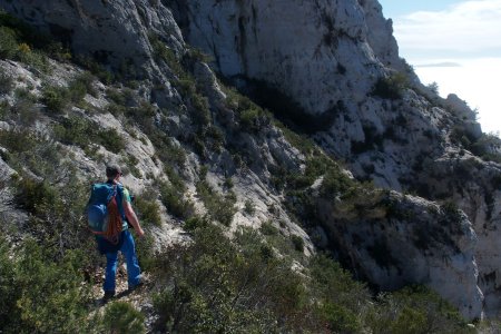 Le sentier se rétrécit 