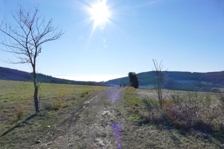 Au niveau de la Croix de Longes