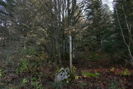 Discret panneau indicateur du sentier de retour