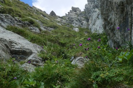 Dans le couloir (vraiment raide).