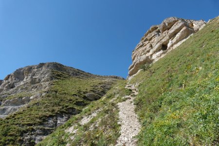 Bientôt sur le plateau