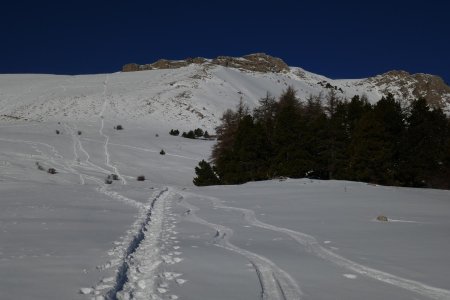 On va longer le bois du Lauzon et dès que ça se raidit, virer à gauche (sentier PR) 