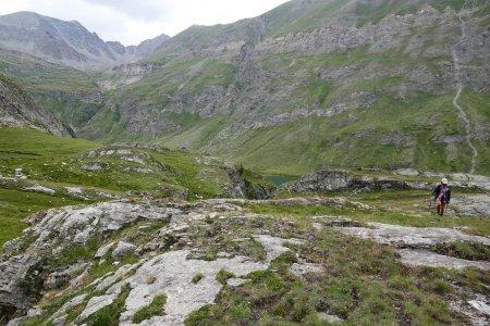 Toute la flore est de petite taille ici, les campanules agglomérées et même les édelweiss.