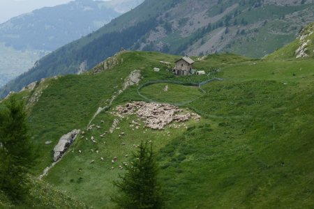 La bergerie de Reyssas.