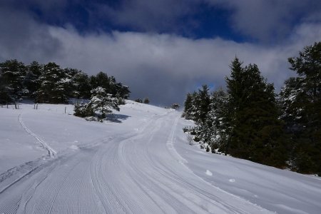 Le sommet n’est plus très loin, le vent se fait sentir, brrrr !